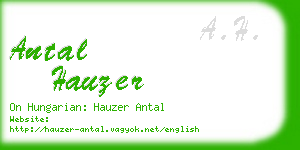 antal hauzer business card